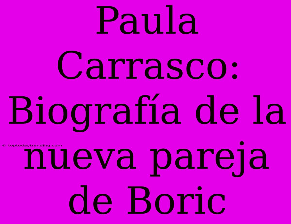 Paula Carrasco: Biografía De La Nueva Pareja De Boric