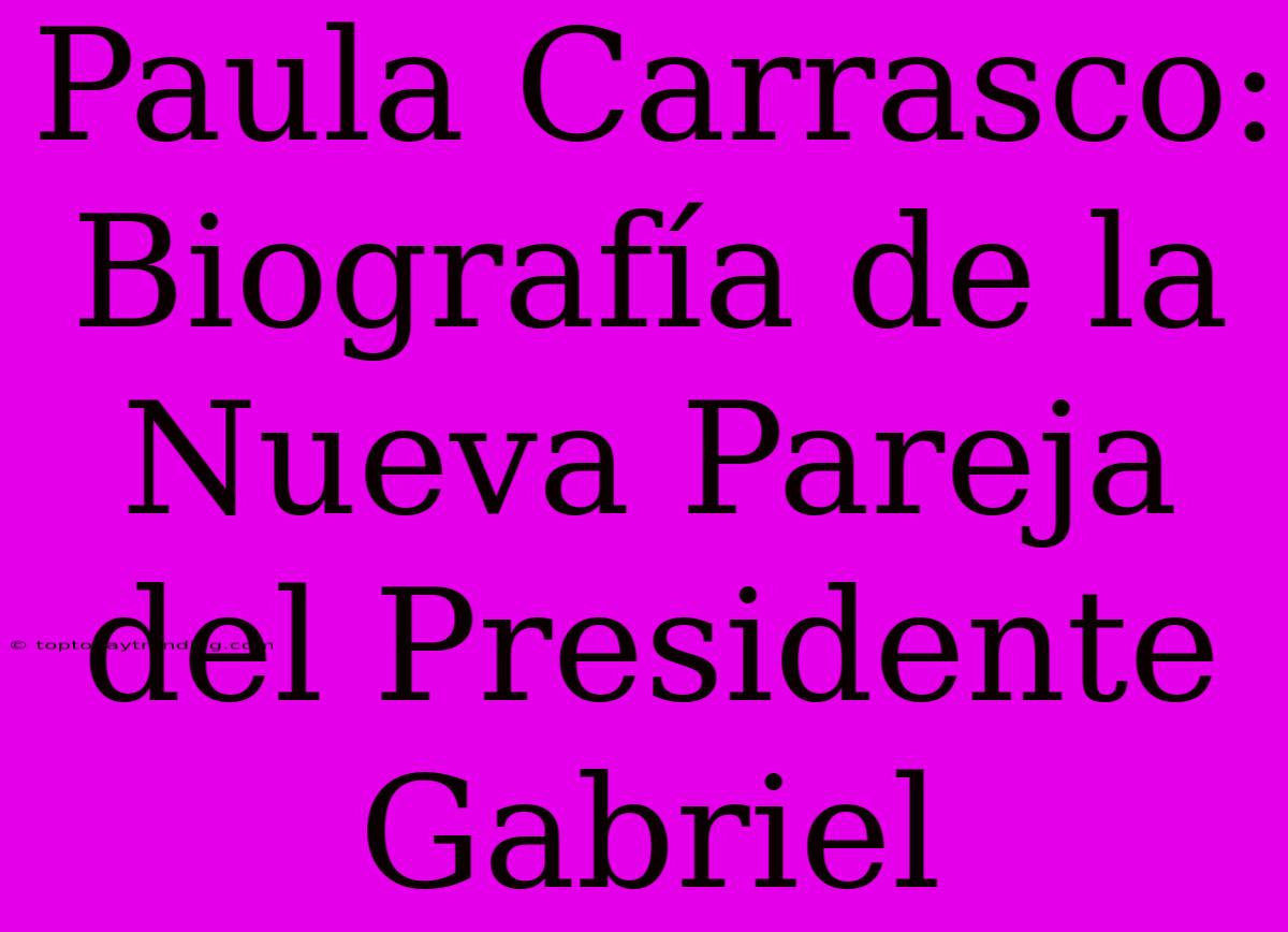 Paula Carrasco: Biografía De La Nueva Pareja Del Presidente Gabriel