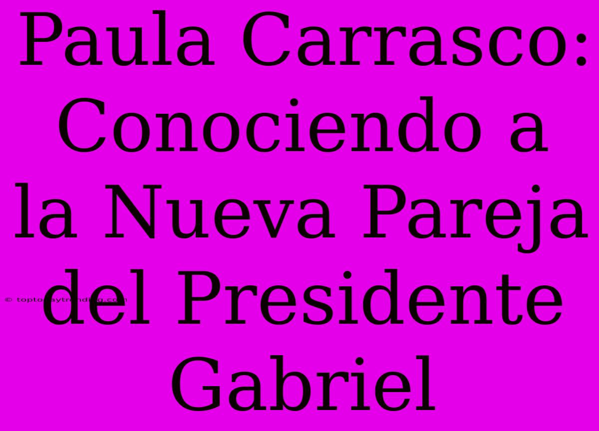 Paula Carrasco: Conociendo A La Nueva Pareja Del Presidente Gabriel