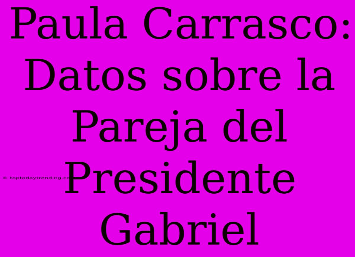 Paula Carrasco: Datos Sobre La Pareja Del Presidente Gabriel