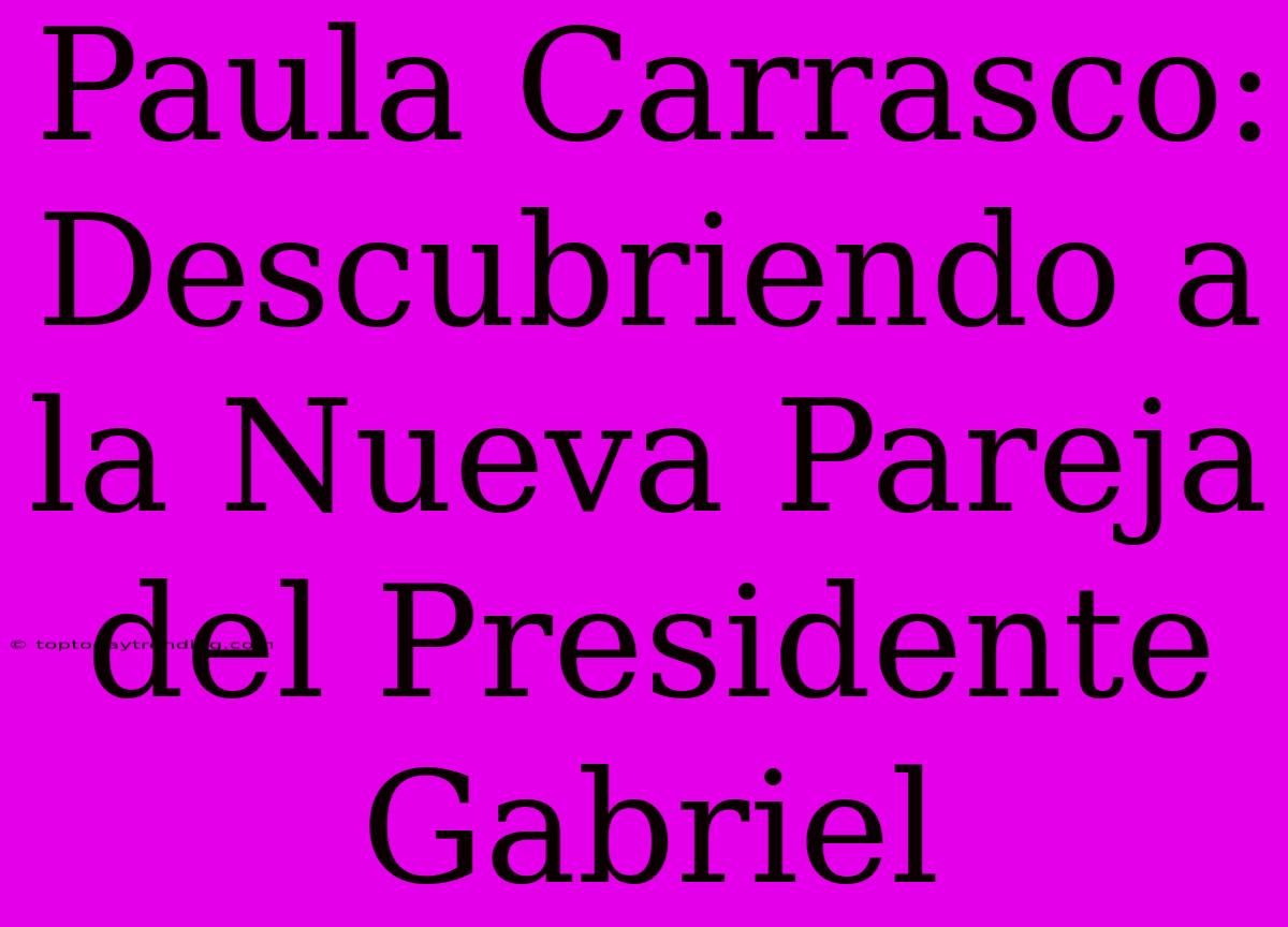 Paula Carrasco: Descubriendo A La Nueva Pareja Del Presidente Gabriel