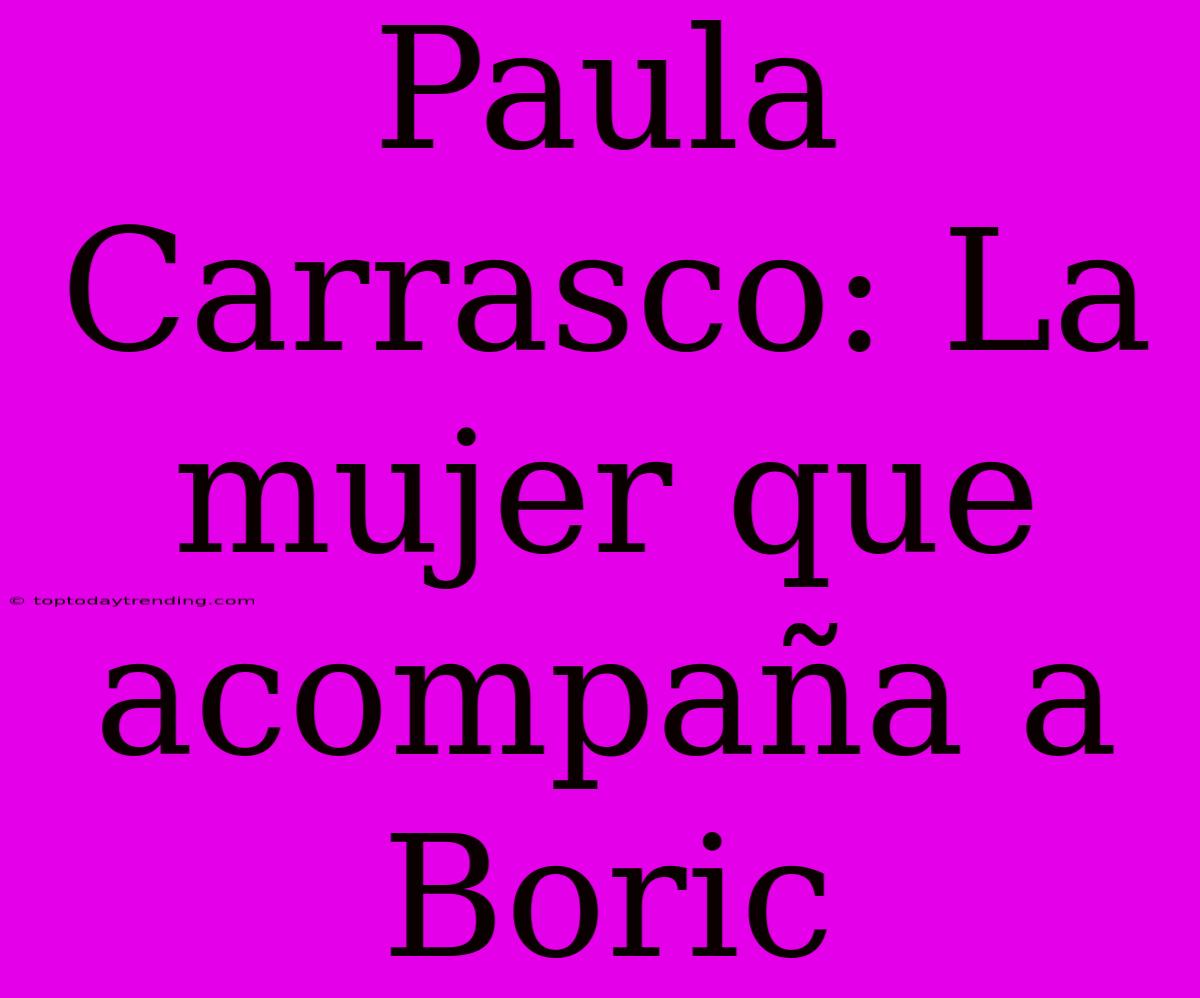 Paula Carrasco: La Mujer Que Acompaña A Boric