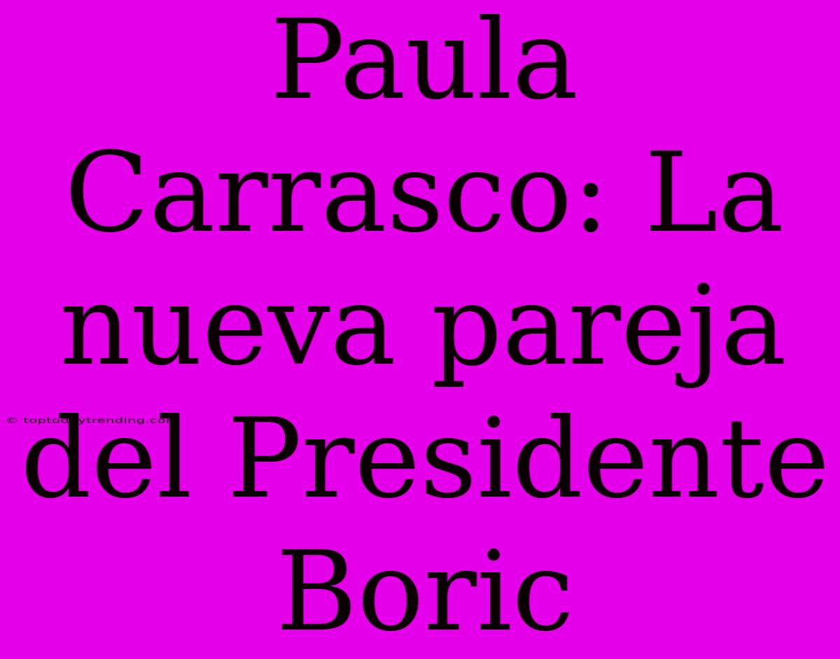 Paula Carrasco: La Nueva Pareja Del Presidente Boric