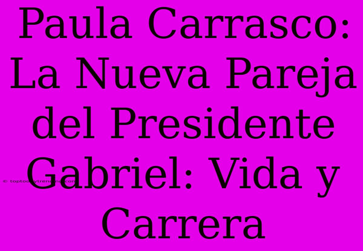 Paula Carrasco: La Nueva Pareja Del Presidente Gabriel: Vida Y Carrera