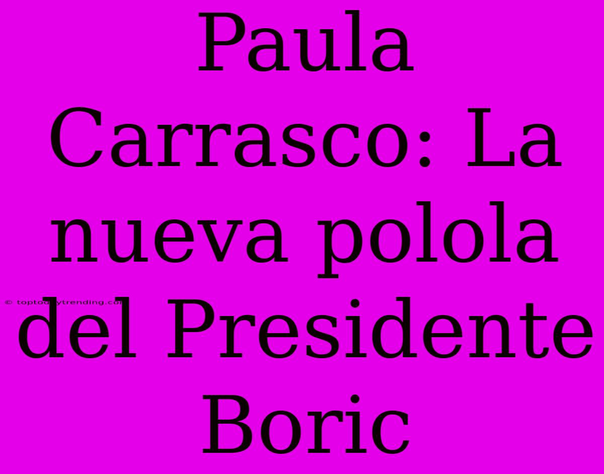 Paula Carrasco: La Nueva Polola Del Presidente Boric