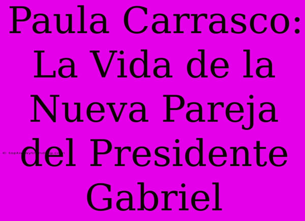 Paula Carrasco: La Vida De La Nueva Pareja Del Presidente Gabriel