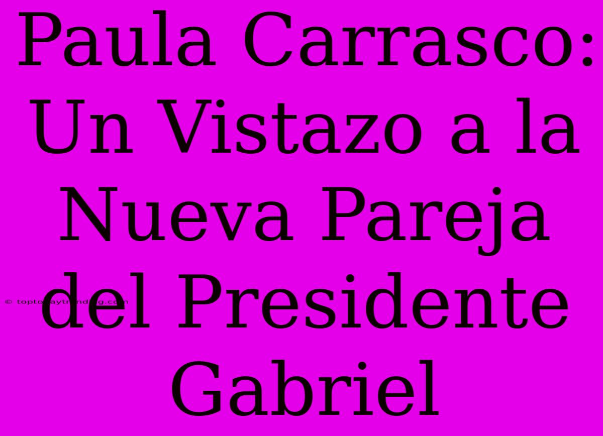 Paula Carrasco:  Un Vistazo A La Nueva Pareja Del Presidente Gabriel