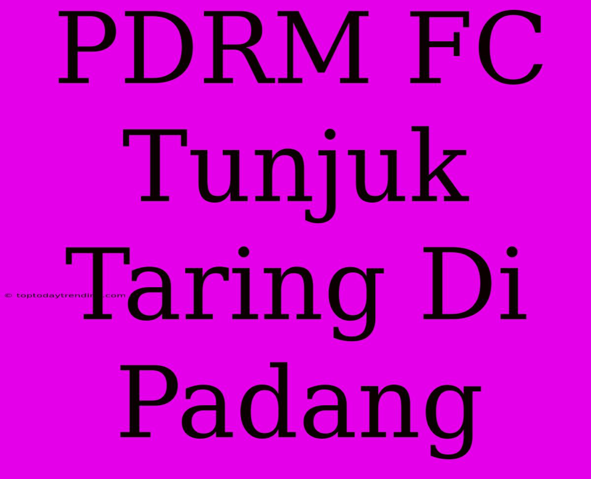 PDRM FC Tunjuk Taring Di Padang