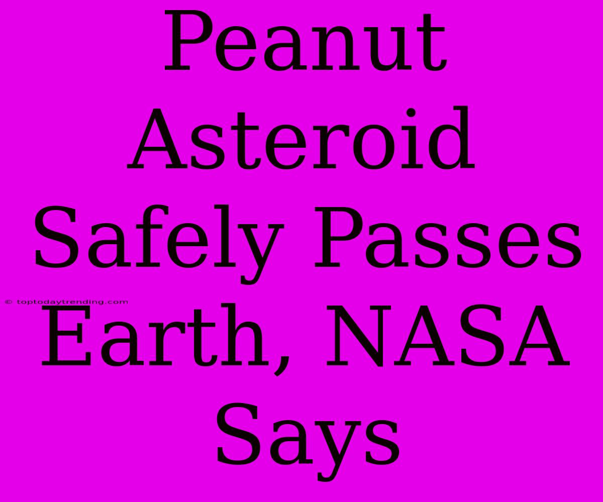 Peanut Asteroid Safely Passes Earth, NASA Says