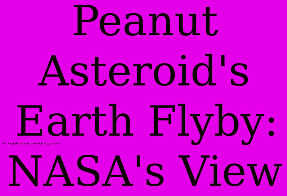 Peanut Asteroid's Earth Flyby: NASA's View