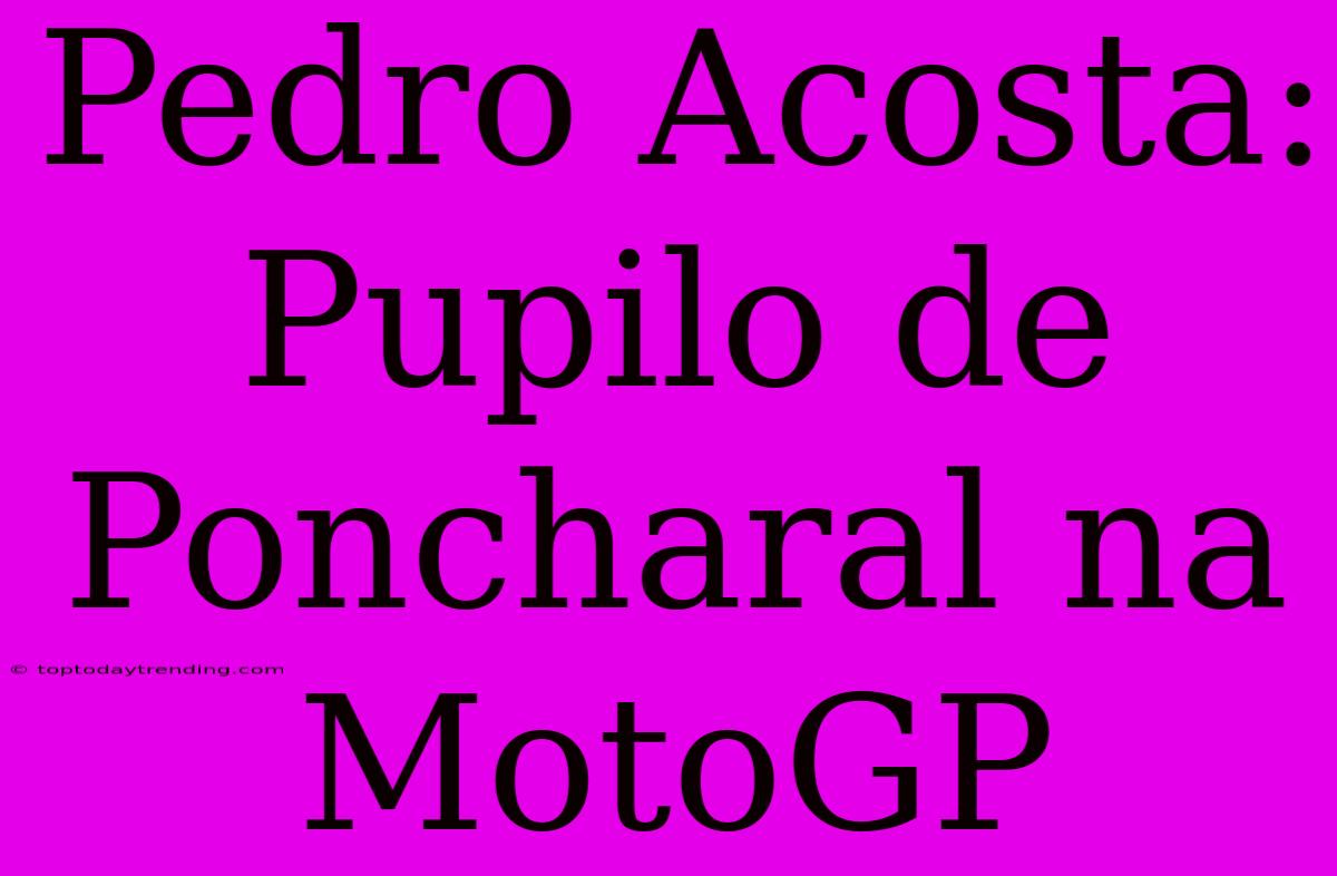 Pedro Acosta: Pupilo De Poncharal Na MotoGP