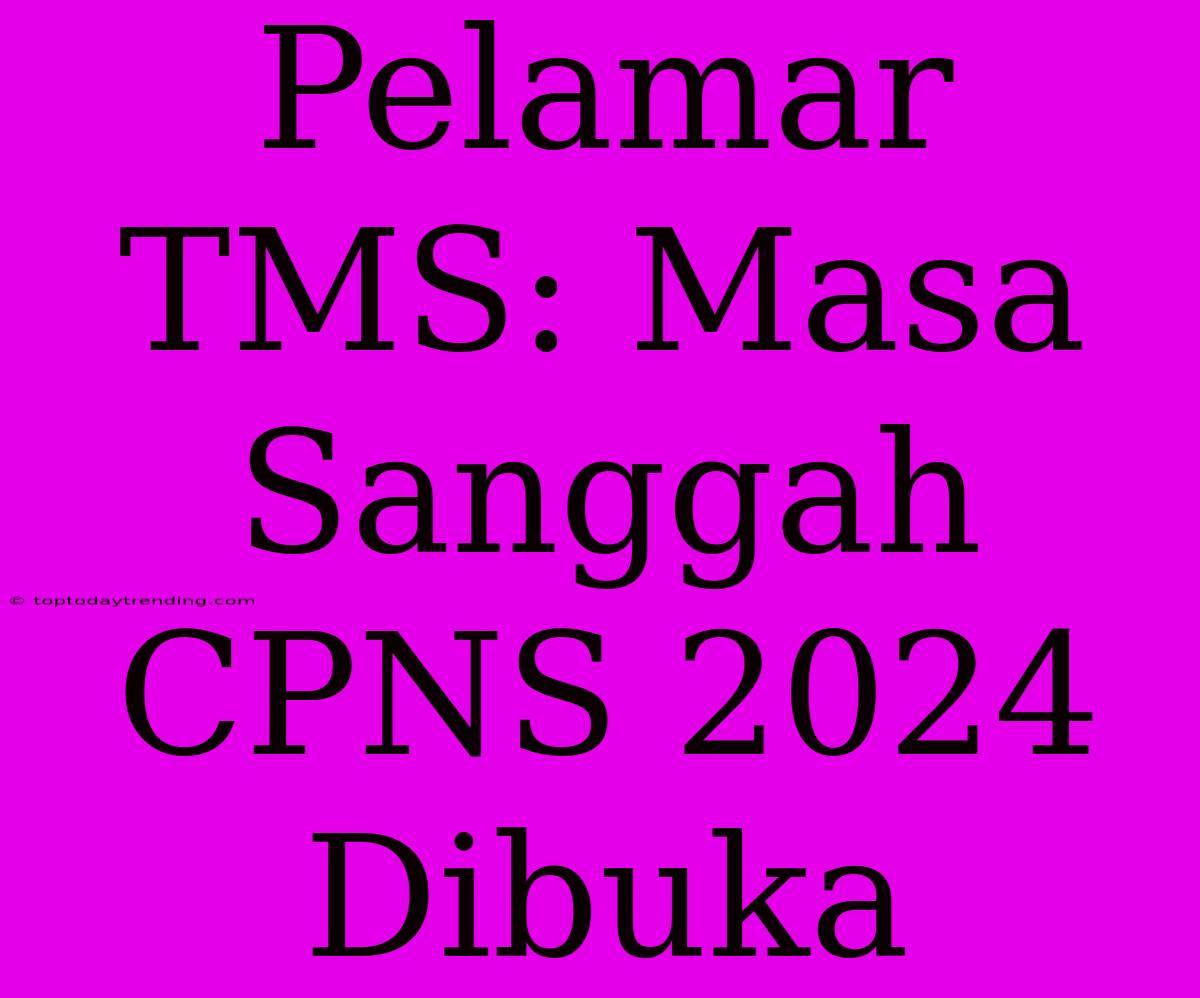 Pelamar TMS: Masa Sanggah CPNS 2024 Dibuka