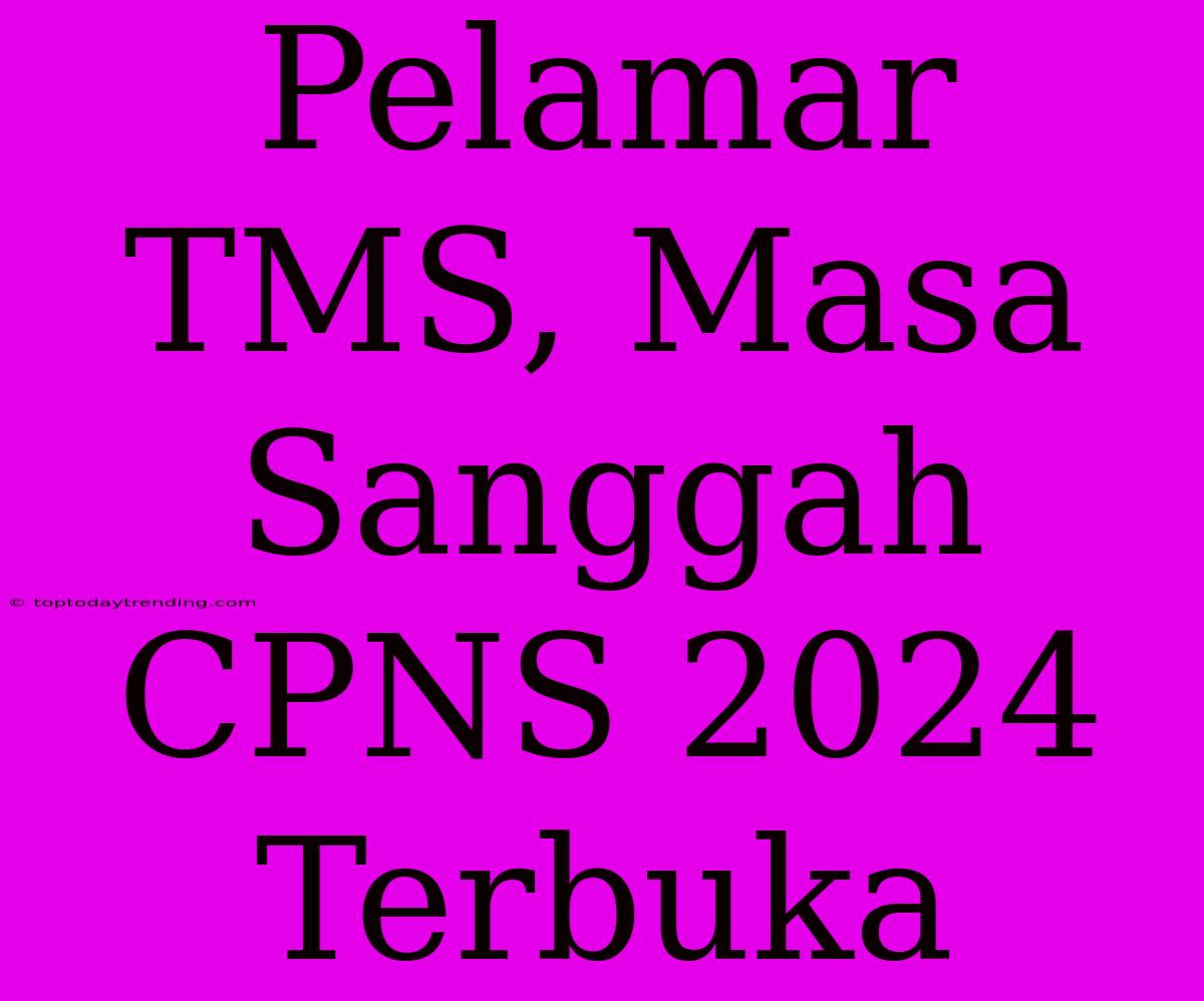 Pelamar TMS, Masa Sanggah CPNS 2024 Terbuka