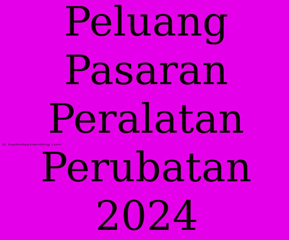 Peluang Pasaran Peralatan Perubatan 2024