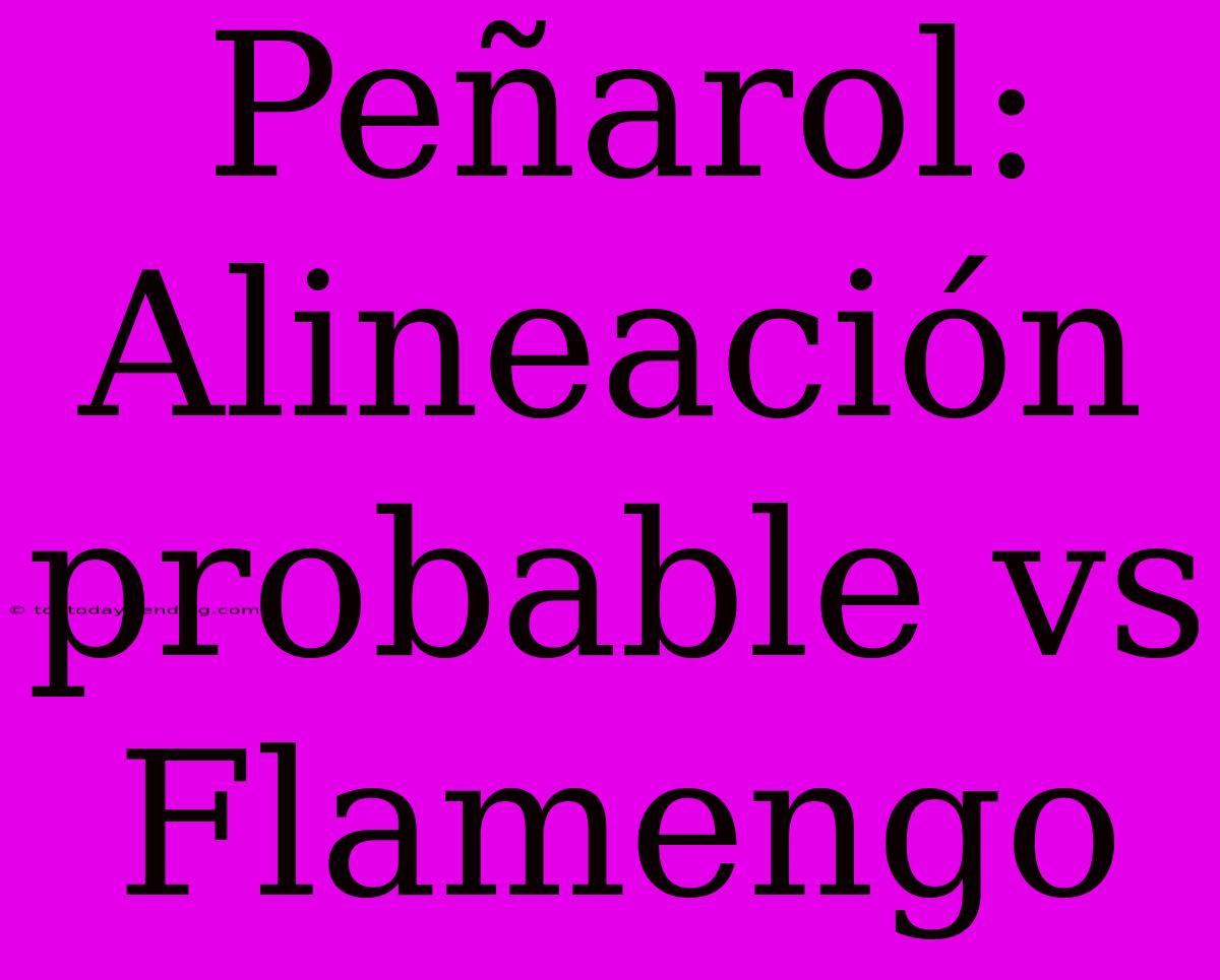 Peñarol: Alineación Probable Vs Flamengo