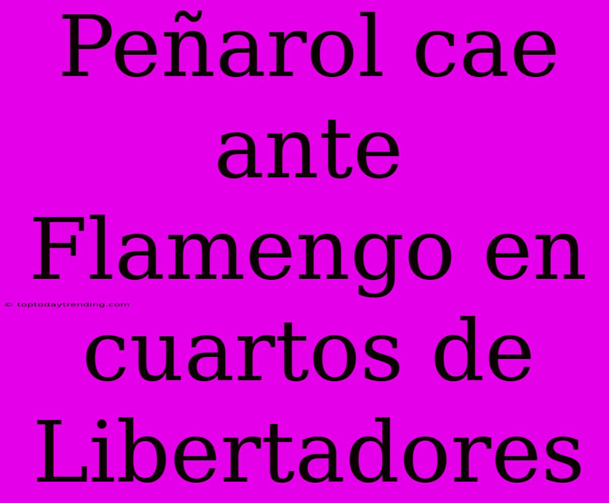 Peñarol Cae Ante Flamengo En Cuartos De Libertadores