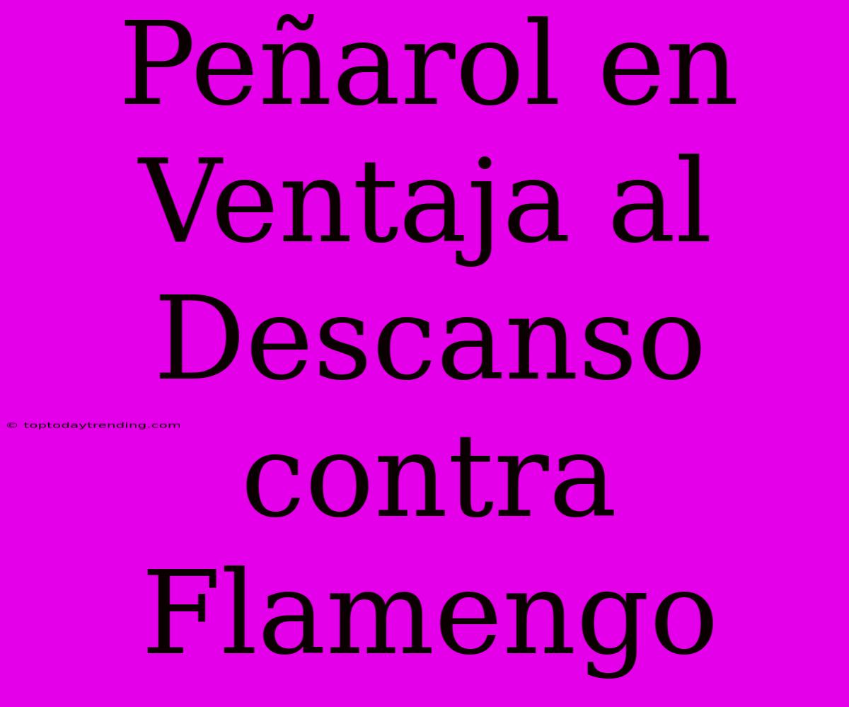 Peñarol En Ventaja Al Descanso Contra Flamengo