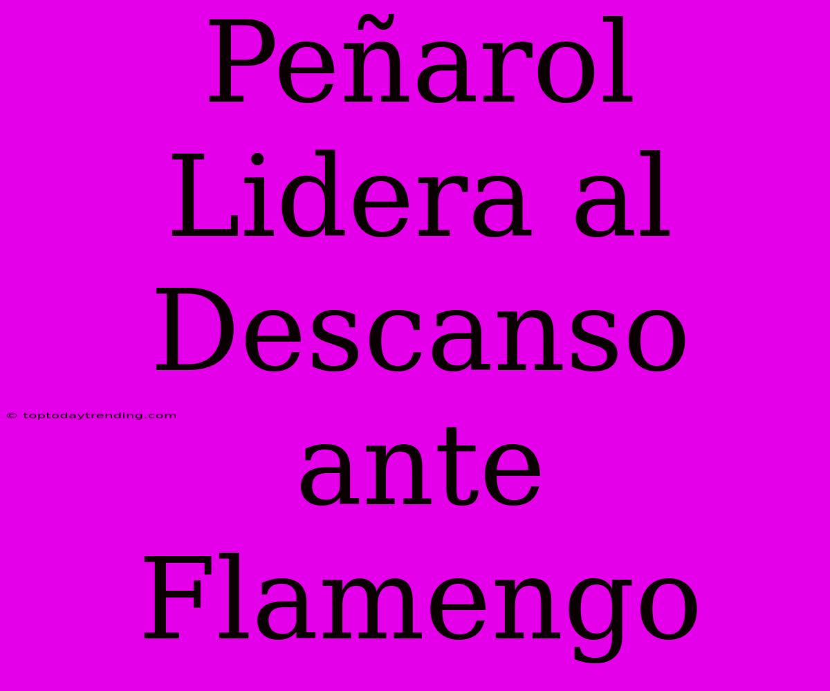 Peñarol Lidera Al Descanso Ante Flamengo