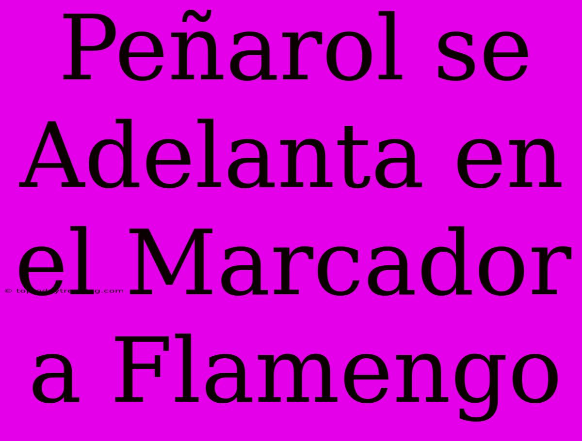 Peñarol Se Adelanta En El Marcador A Flamengo