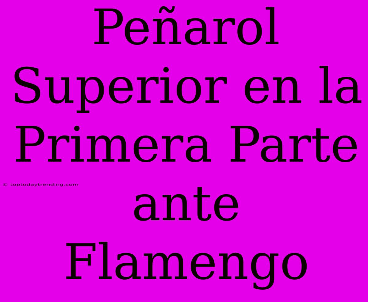 Peñarol Superior En La Primera Parte Ante Flamengo