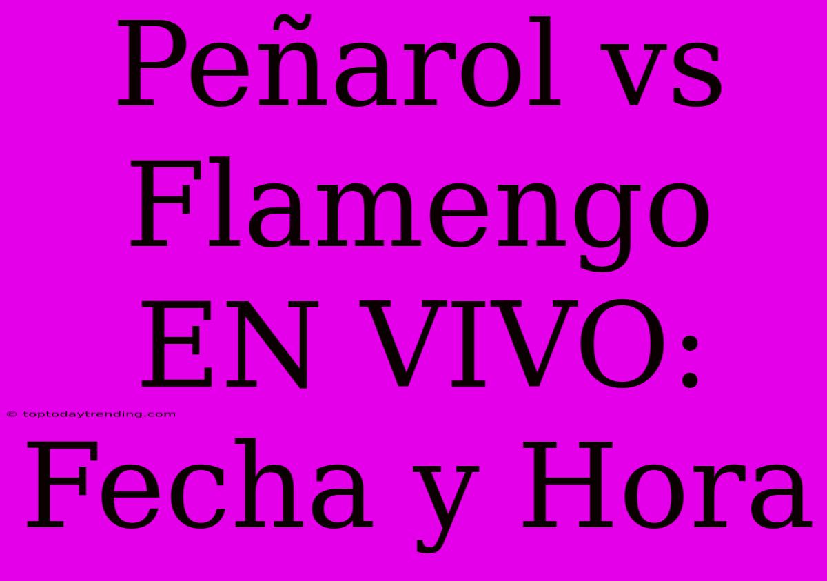 Peñarol Vs Flamengo EN VIVO: Fecha Y Hora