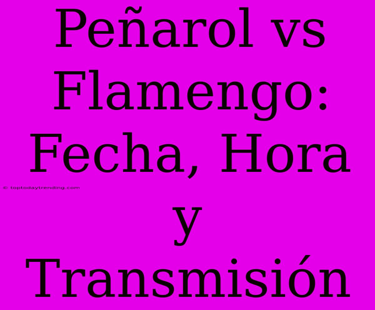 Peñarol Vs Flamengo: Fecha, Hora Y Transmisión