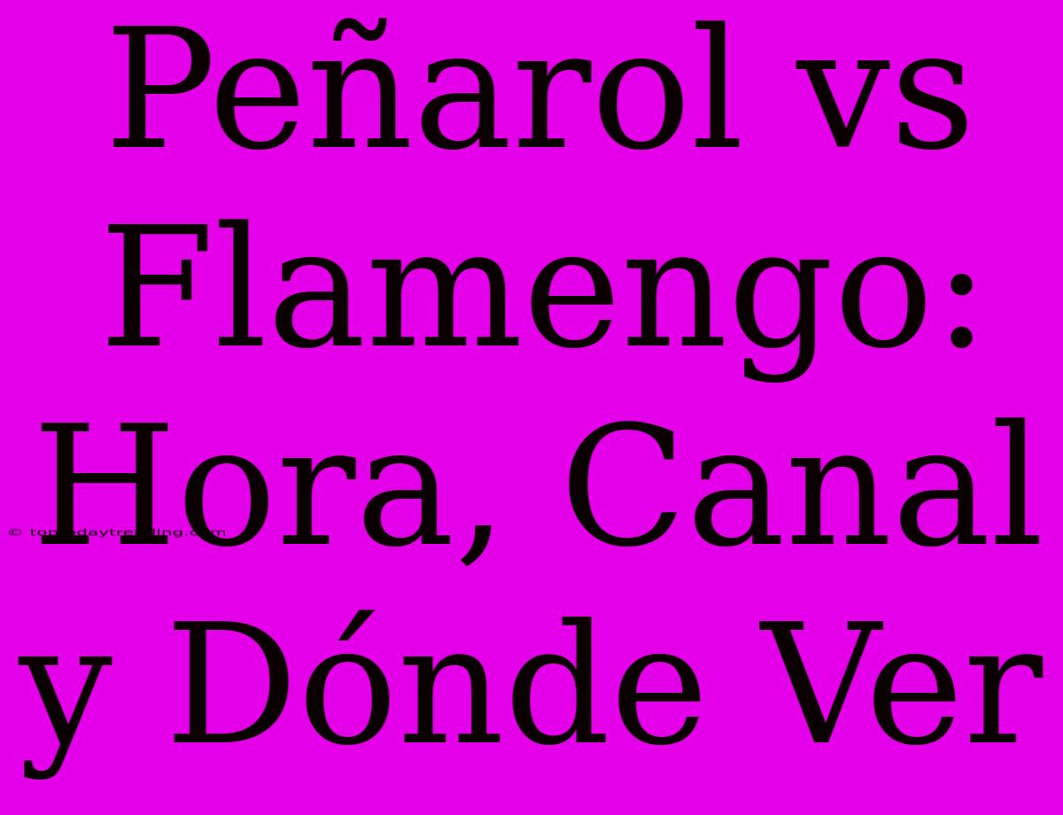 Peñarol Vs Flamengo: Hora, Canal Y Dónde Ver