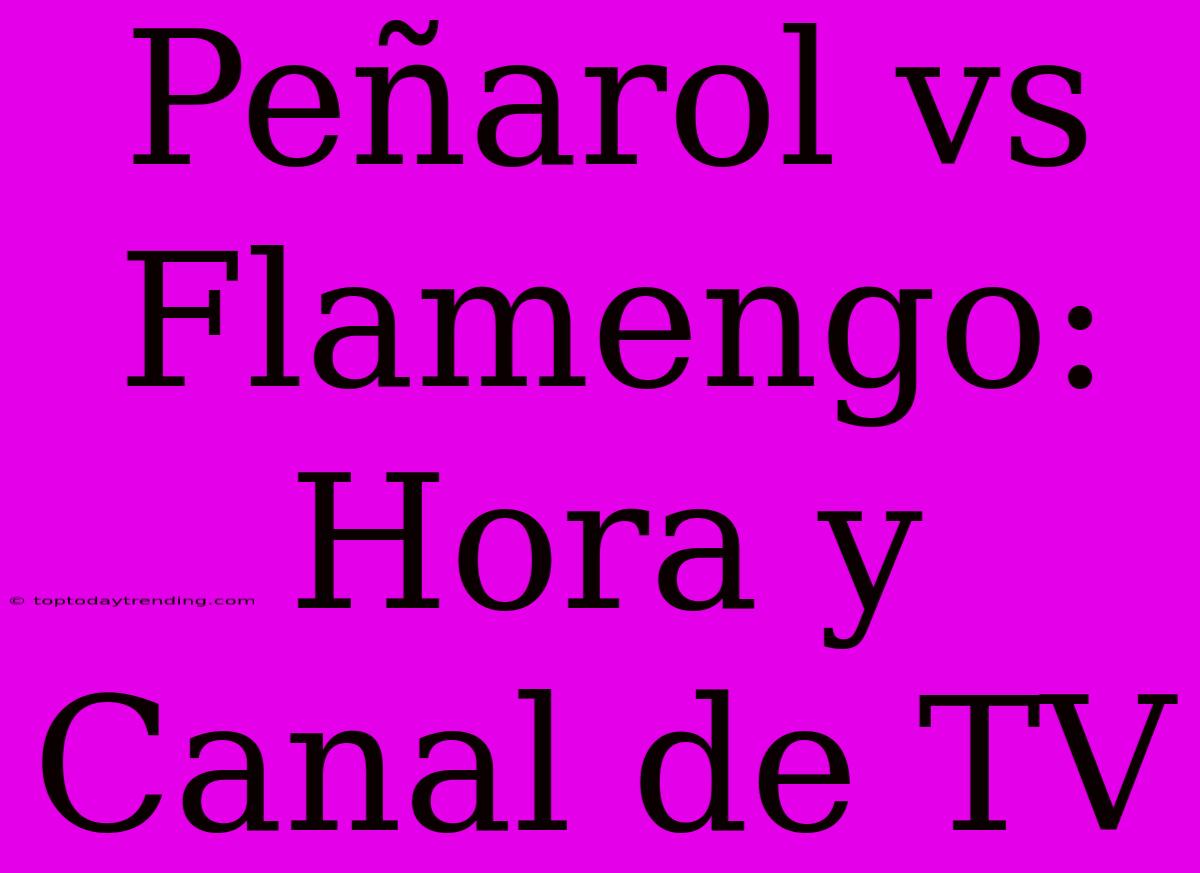 Peñarol Vs Flamengo: Hora Y Canal De TV