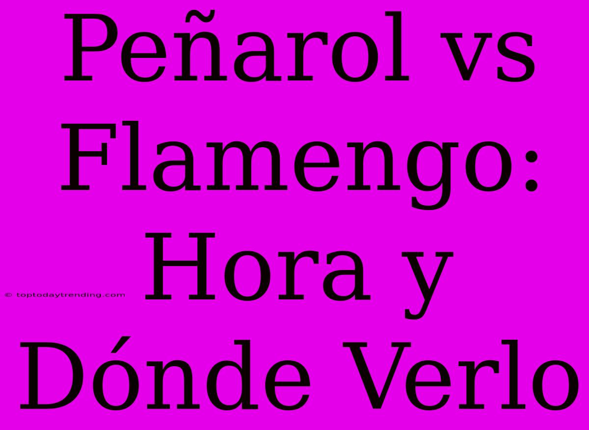 Peñarol Vs Flamengo: Hora Y Dónde Verlo