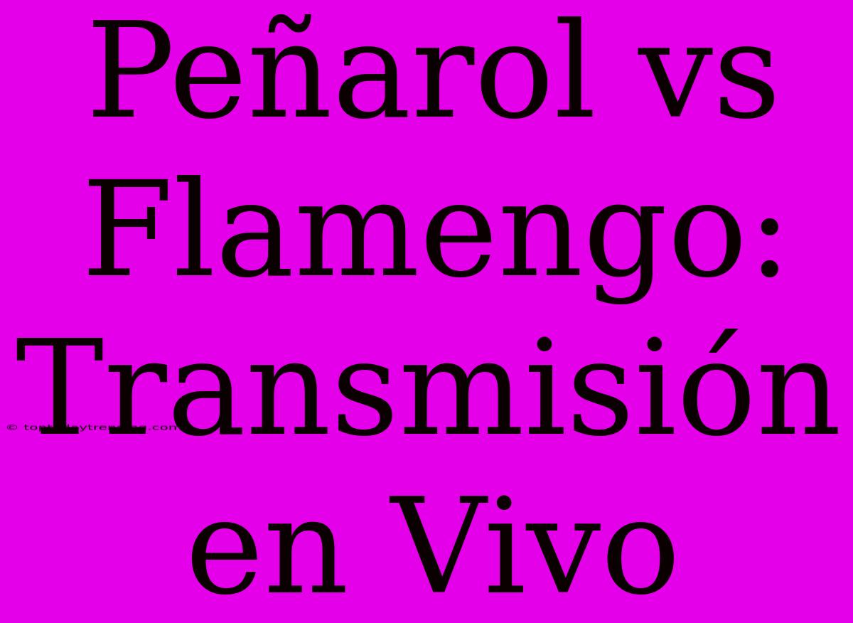 Peñarol Vs Flamengo: Transmisión En Vivo