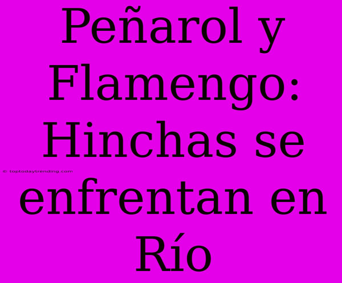 Peñarol Y Flamengo: Hinchas Se Enfrentan En Río