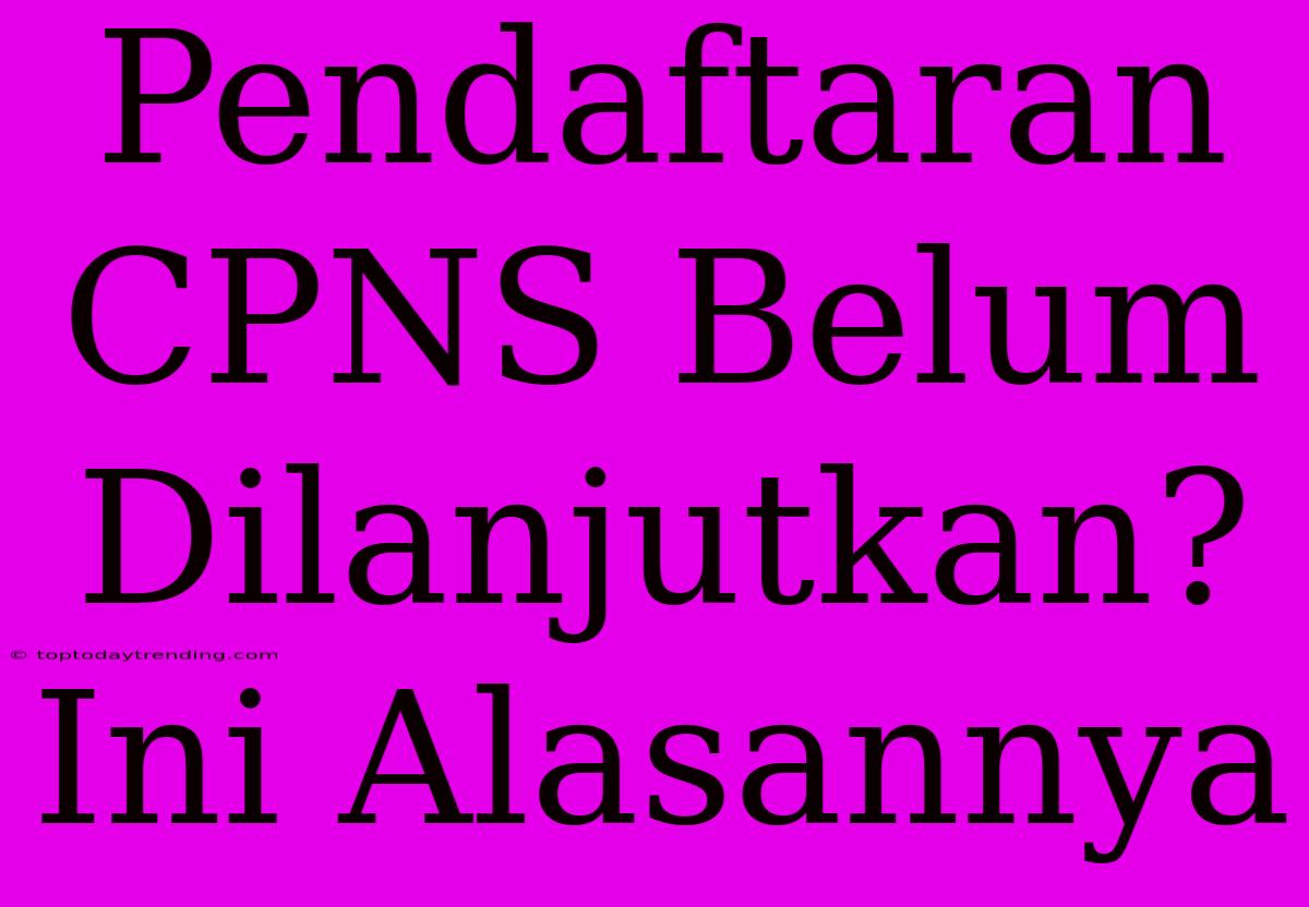 Pendaftaran CPNS Belum Dilanjutkan? Ini Alasannya