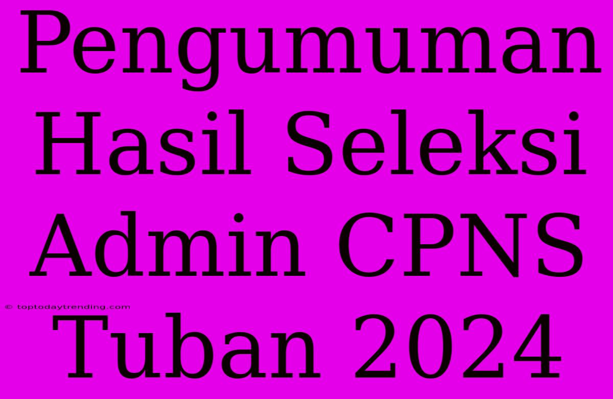 Pengumuman Hasil Seleksi Admin CPNS Tuban 2024