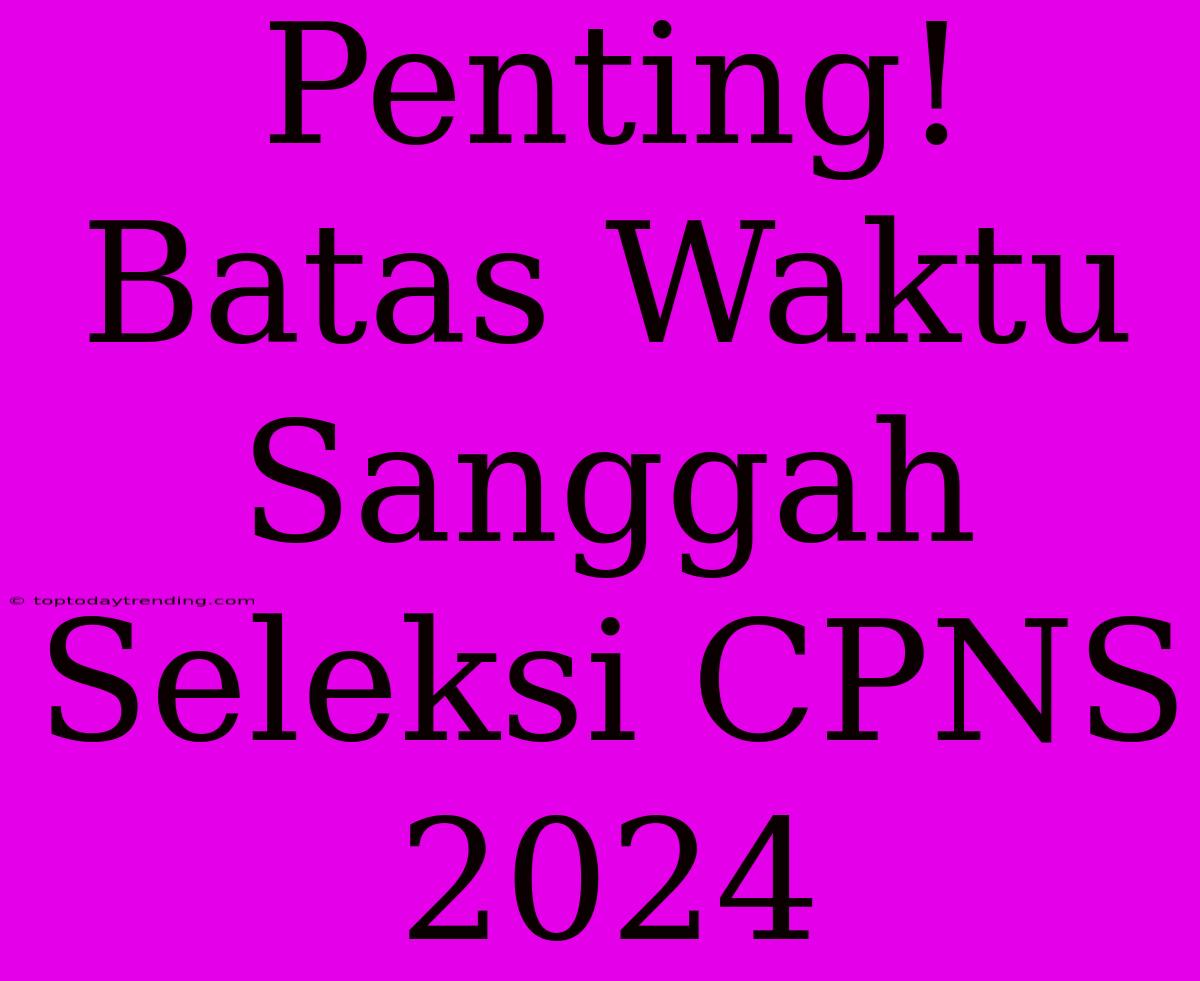 Penting! Batas Waktu Sanggah Seleksi CPNS 2024