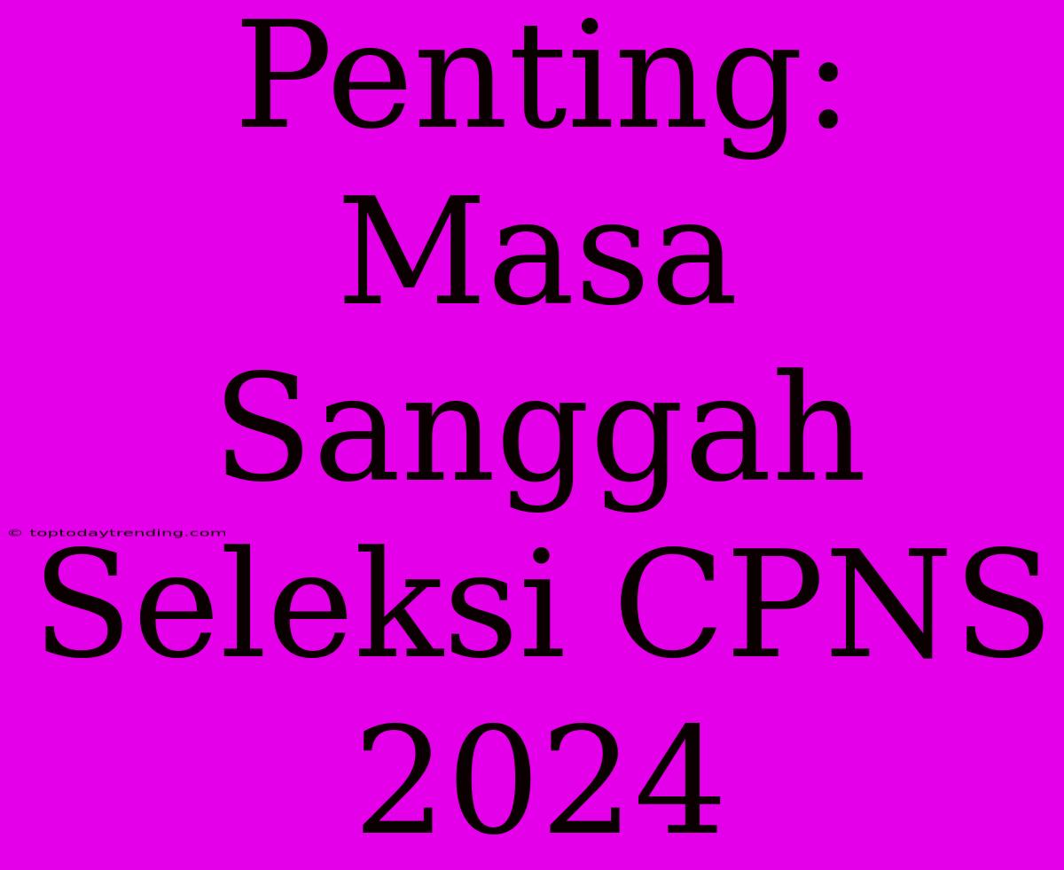 Penting: Masa Sanggah Seleksi CPNS 2024