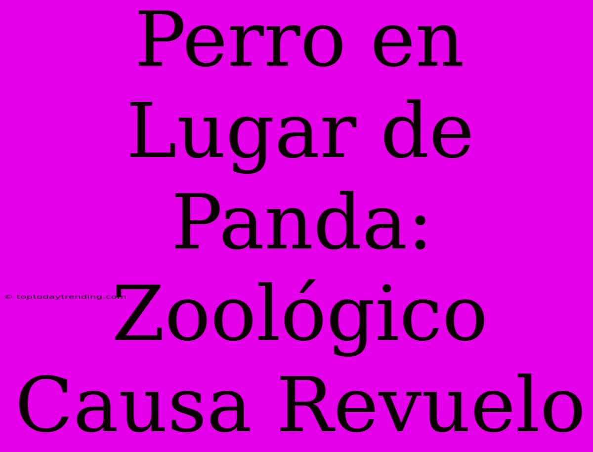 Perro En Lugar De Panda: Zoológico Causa Revuelo