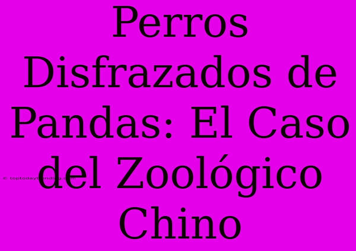 Perros Disfrazados De Pandas: El Caso Del Zoológico Chino