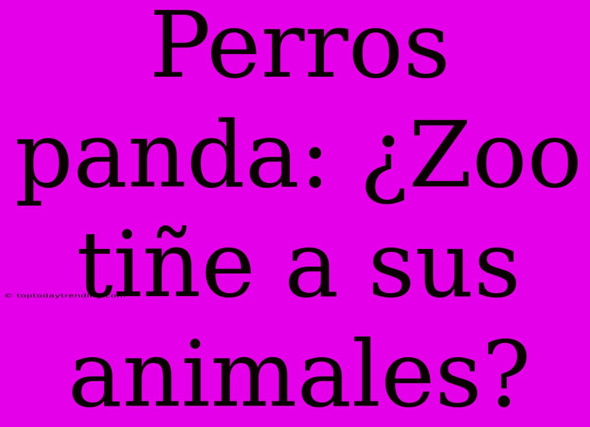 Perros Panda: ¿Zoo Tiñe A Sus Animales?