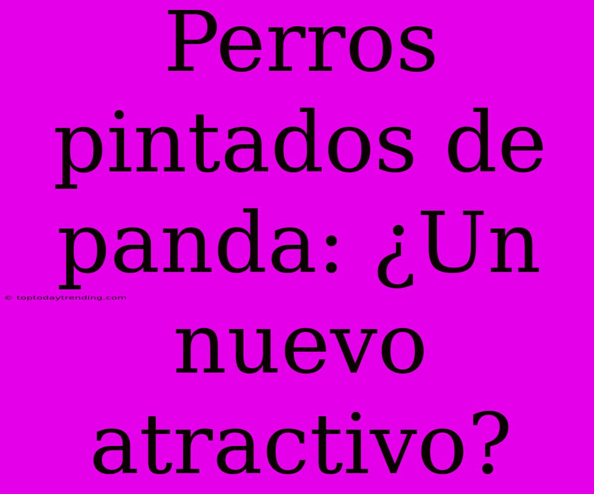 Perros Pintados De Panda: ¿Un Nuevo Atractivo?