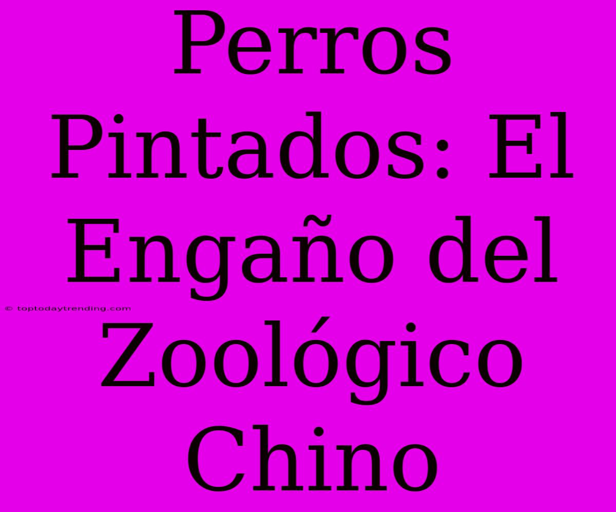 Perros Pintados: El Engaño Del Zoológico Chino