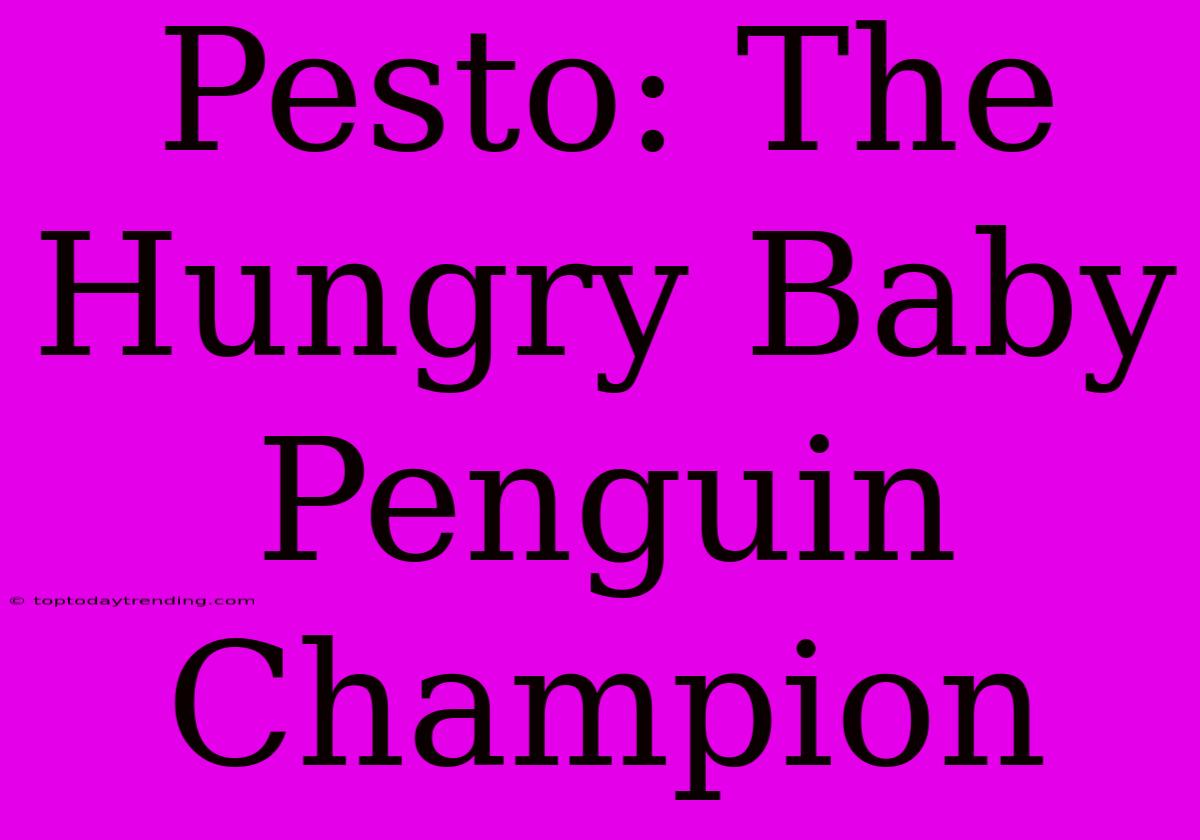 Pesto: The Hungry Baby Penguin Champion