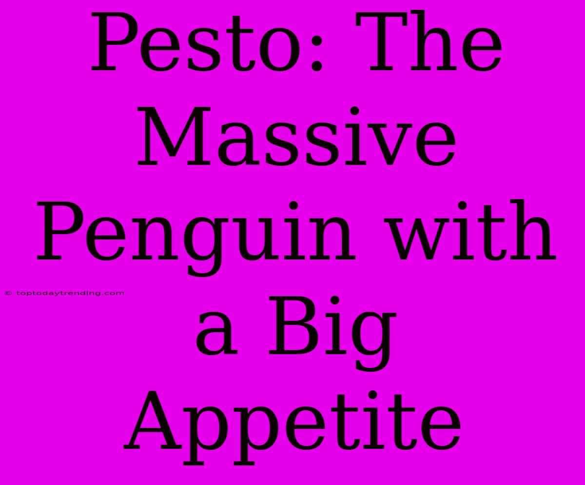 Pesto: The Massive Penguin With A Big Appetite