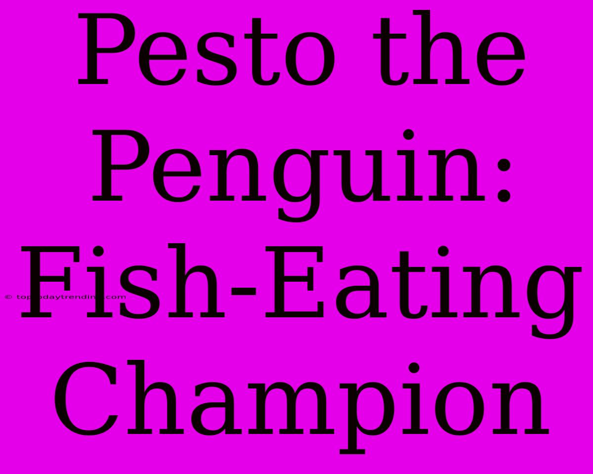 Pesto The Penguin: Fish-Eating Champion