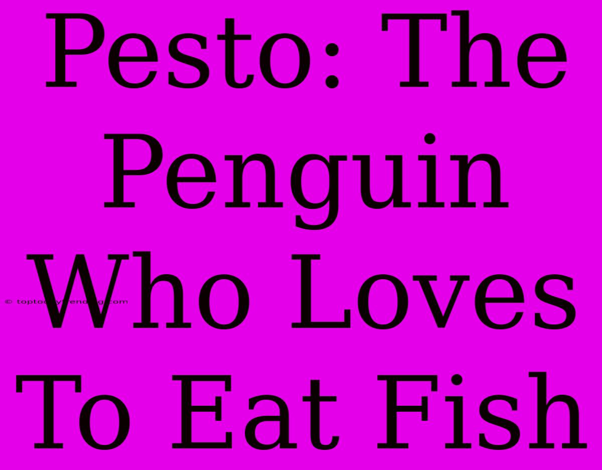 Pesto: The  Penguin Who Loves To Eat Fish