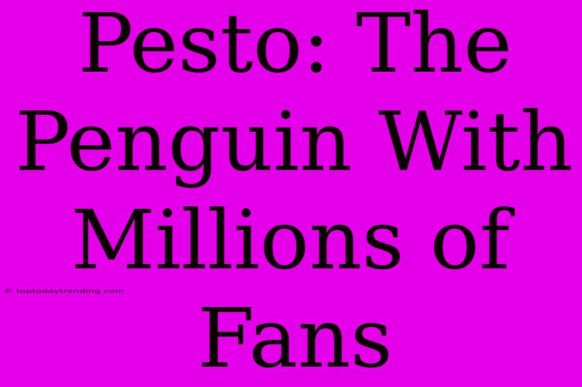 Pesto: The Penguin With Millions Of Fans