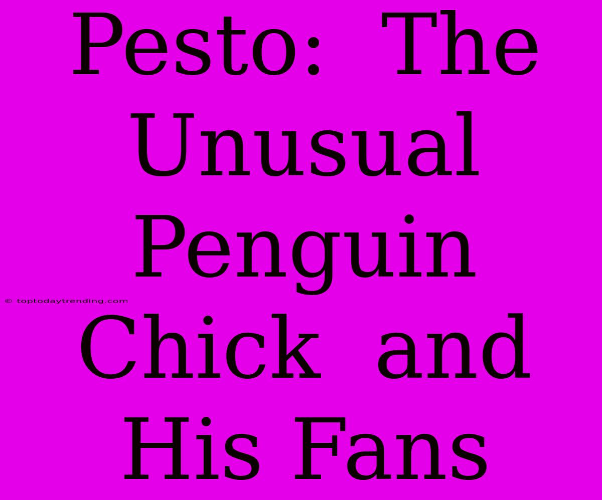 Pesto:  The Unusual Penguin Chick  And His Fans