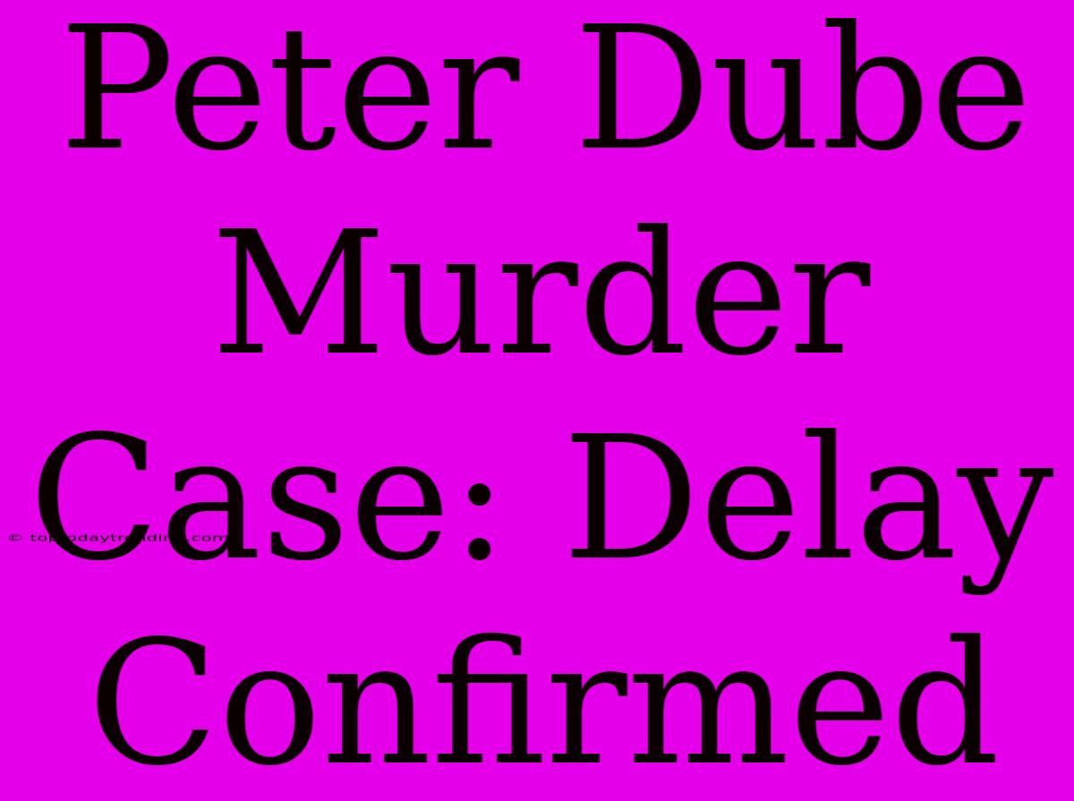 Peter Dube Murder Case: Delay Confirmed