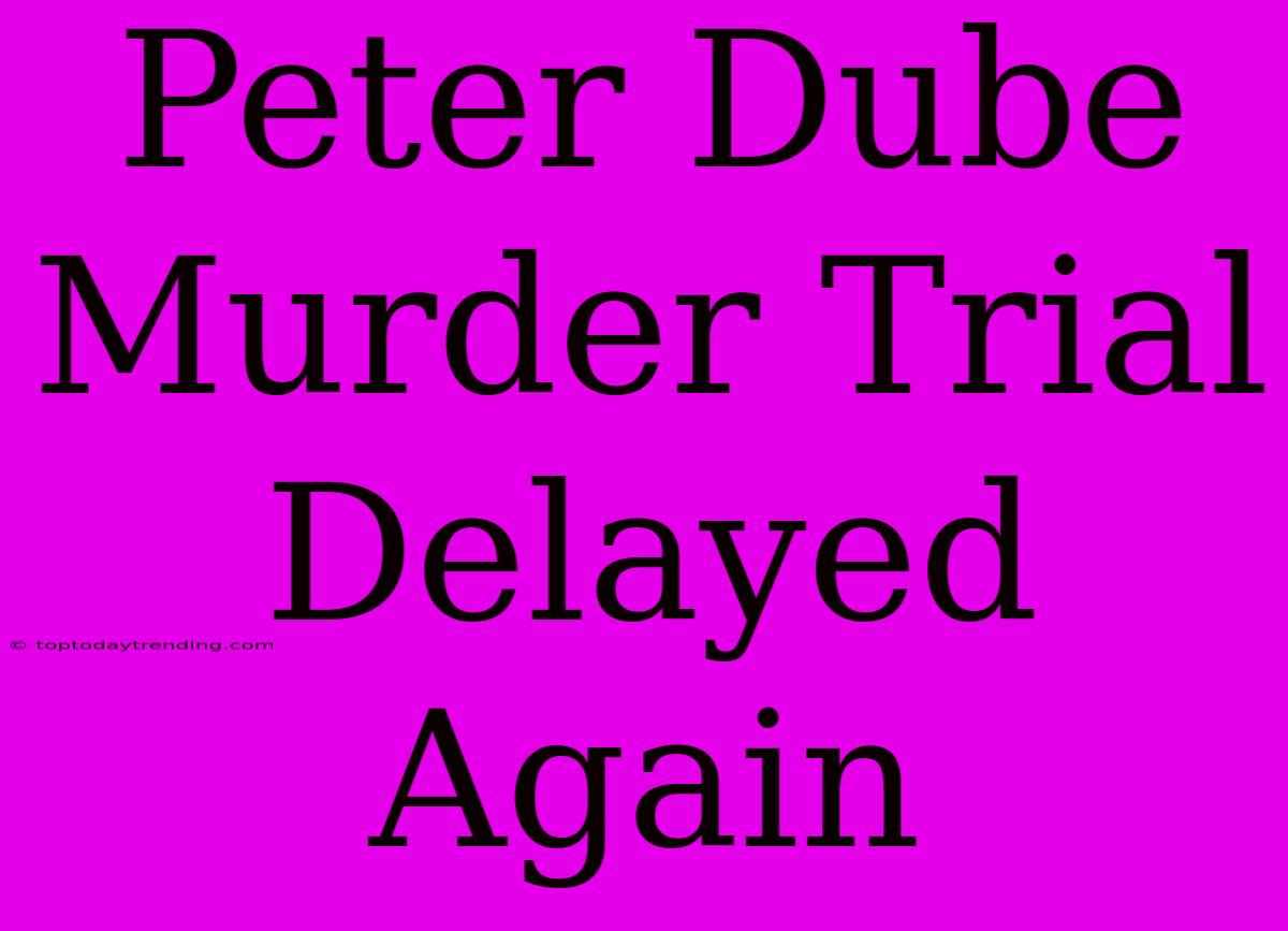 Peter Dube Murder Trial Delayed Again