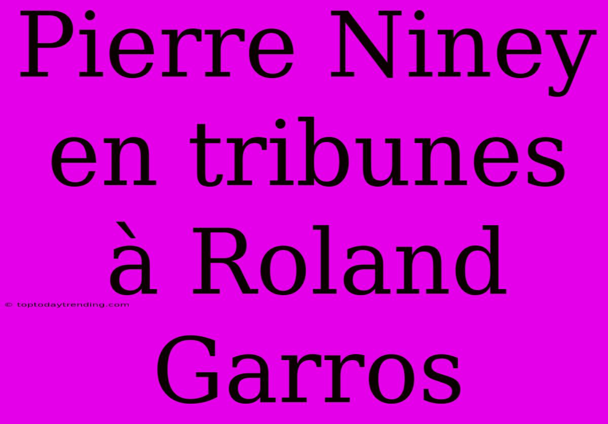 Pierre Niney En Tribunes À Roland Garros