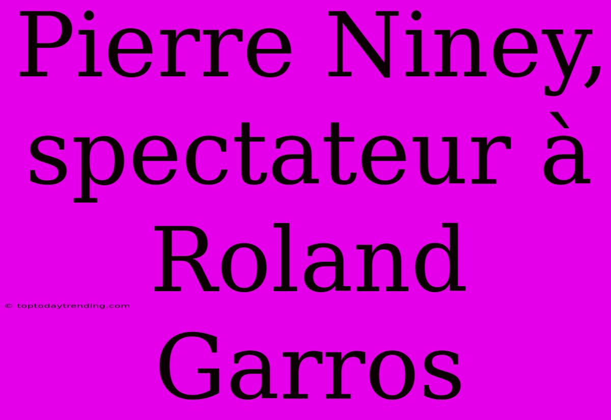 Pierre Niney, Spectateur À Roland Garros